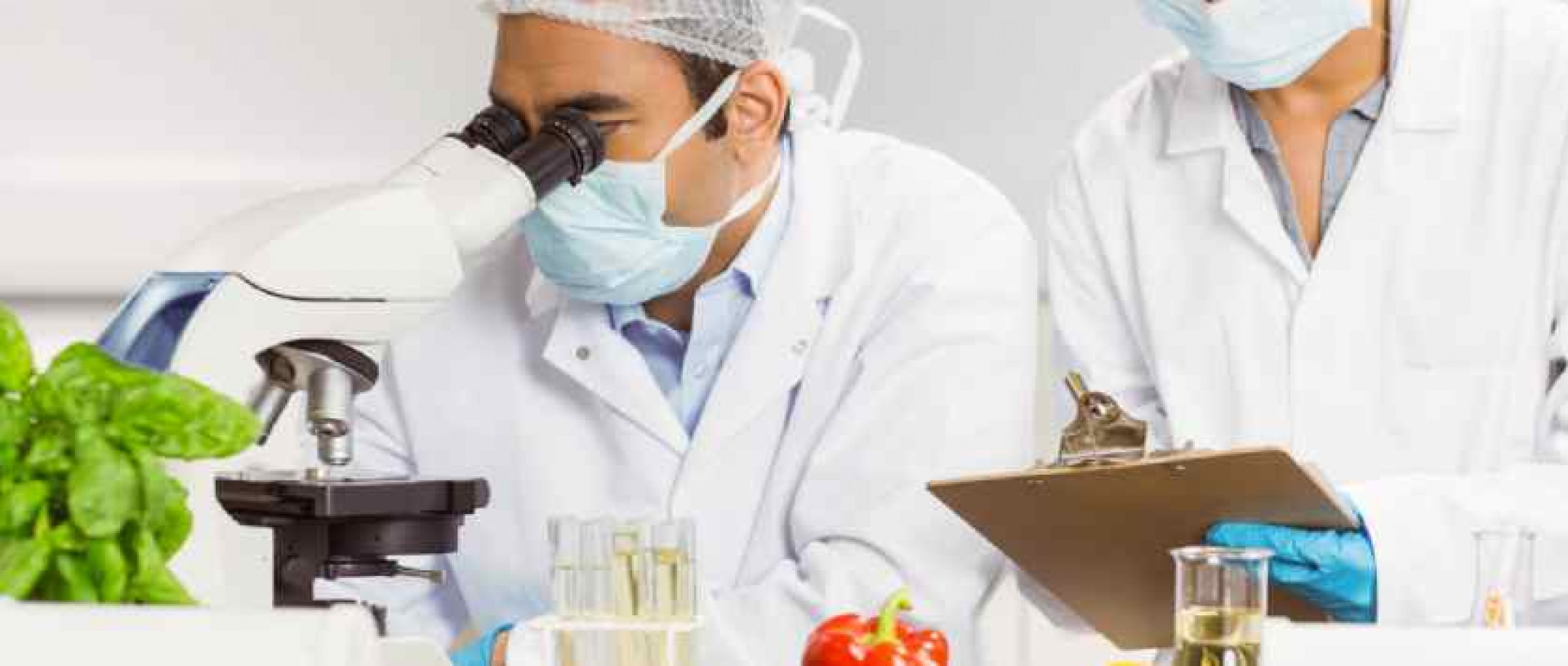 GIDA SAVUNMASI VE GIDA SAHTECİLİĞİ EĞİTİMİ